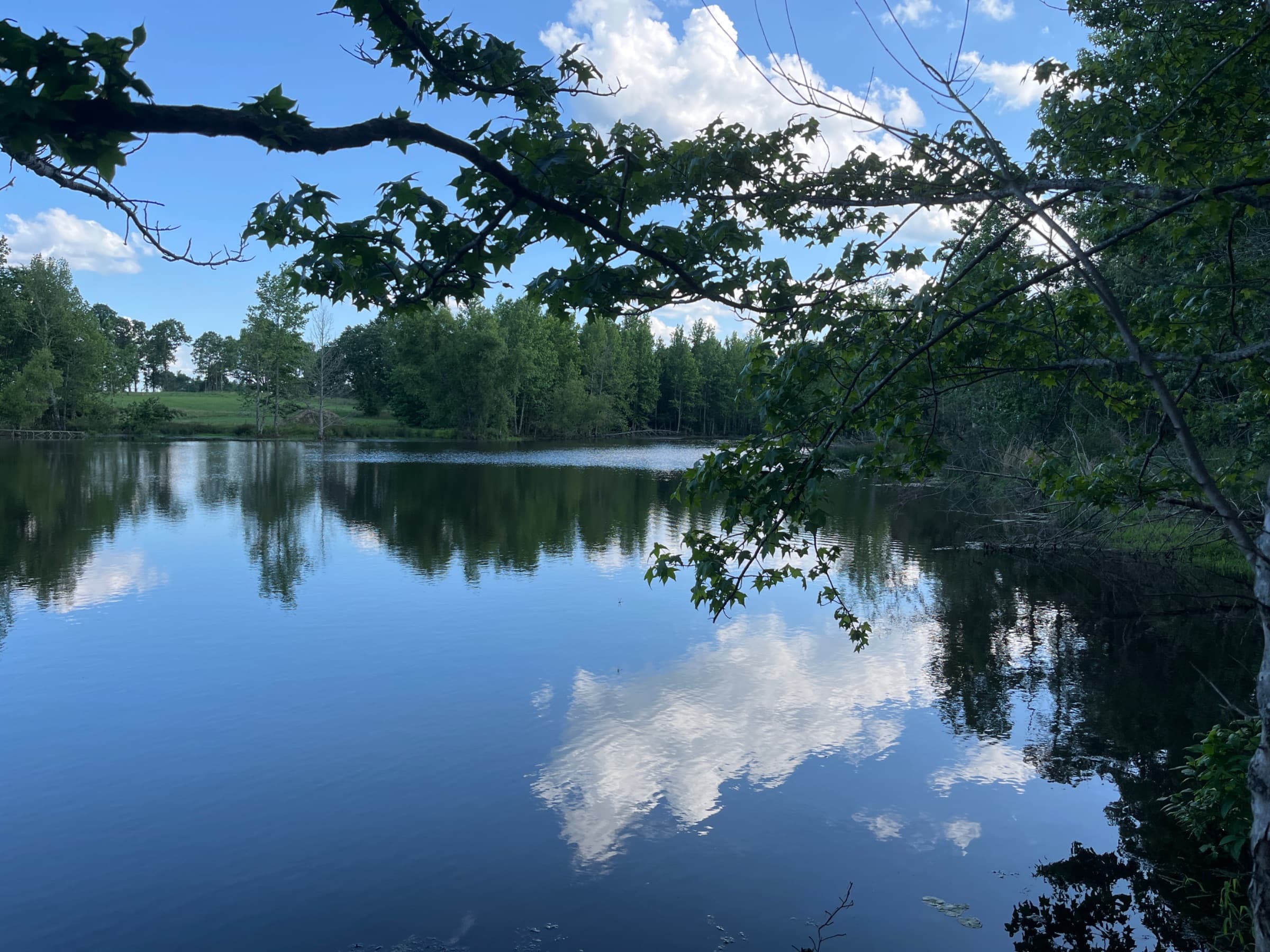 A hidden gem of nature in Cove